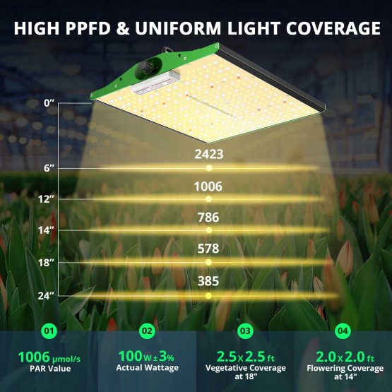 ViparSpectra-P1000-LED-Grow-Light-Coverage-&-Placement