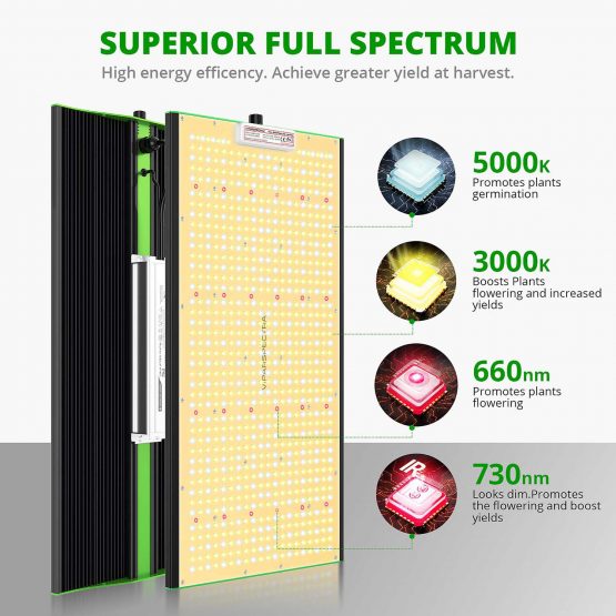 ViparSpectra-P2500-Superior-Full-Spectrum
