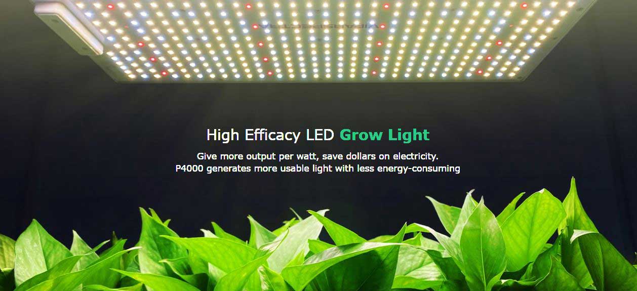 ViparSpectra-P4000-High-Efficacy-LED