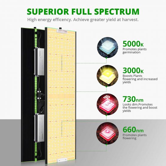 ViparSpectra-P4000-Superior-Full-Spectrum