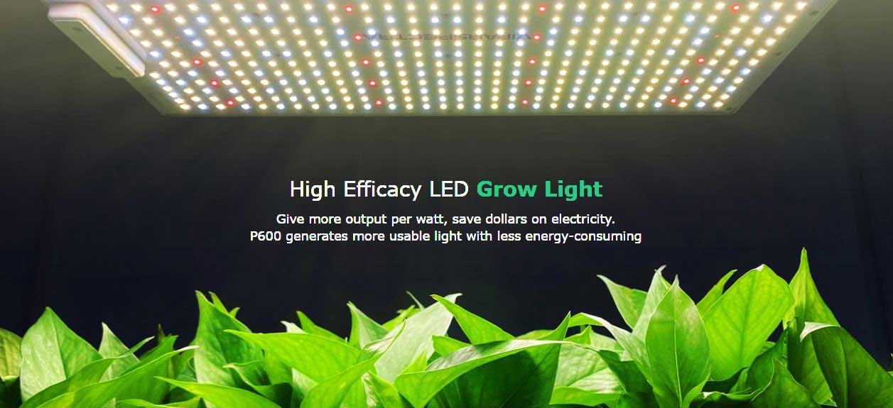 ViparSpectra-P600-High-Efficacy-LED